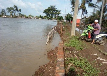 Salah seorang warga saat melintas di tanggul Sungai Citarum di Dusun III, Kp. Gobah Gobah, Desa Pantai Bahagia yang mulai tergerus volume air, Rabu (08/01).
