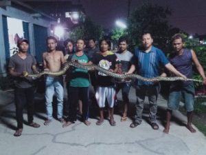 warga RT 06 RW 15 Perumahan Permata Cikarang Selatan saat berhasil menangkap ular sanca dengan panjang sekira 3,5 meter, Selas (14/01) malam.