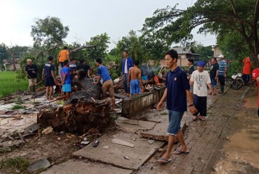 Warga saat bahu membahu membersihkan puing dan menyingkirkan batang pohon yang menimpa rumah Ibu Tinah yang rusak pasca ditimpa pohon tumbang, Senin (17/02) sore.