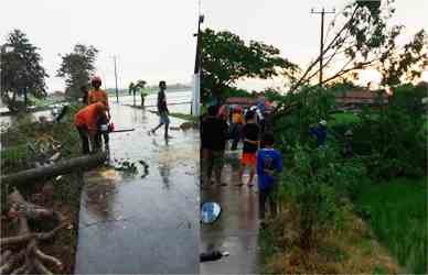 Proses evakuasi pohon tumbang oleh URC BPBD Kabupaten Bekasi | Foto : Pusdalobs Kabupaten Bekasi