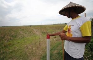 SAWAH DIPATOK : Petani di Cikarang Timur bakal kehilangan pekerjaan karena lahan yang digarapnya terancam beralihfungsi lantaran telah dikuasai oleh perusahaan-perusahaan yang bergerak dibidang property (real estate).