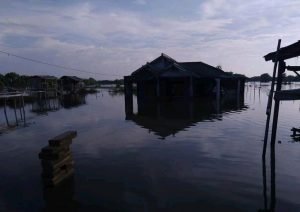 Terancam abrasi: Kondisi pemukiman warga di Desa Pantai Bahagia Kecamatan Muaragembong yang diterjang banjir rob, Jum'at (05/06).