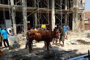 Pemotongan hewan kurban oleh Yayasan Kepribadian Anak Bangsa (YKAB) di wilayah Kecamatan Pebayuran, Jum'at (31/07).