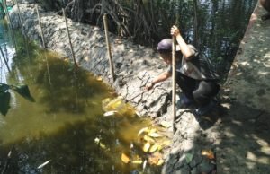 Ketua Forum Pemuda Peduli Lingkungan (FPPL), Ahmad Sahili saat menunjukan ikan yang mati di sejumlah tambak milik warga di Kp. Sembilangan, Desa Samuderajaya Kecamatan Tarumjaya.