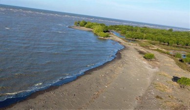 Pantai Bungin di Desa Pantai Bakti, Kecamatan Muaragembong