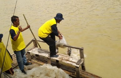 Kepala Dinas Pariwisata Kabupaten Bekasi, Sutia Resmulyawan saat menebar 1 ton ikan mas di Situ Rawa Binong, Sabtu (15/12) pagi.