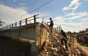 Jembatan di Desa Pantai Harapan Jaya