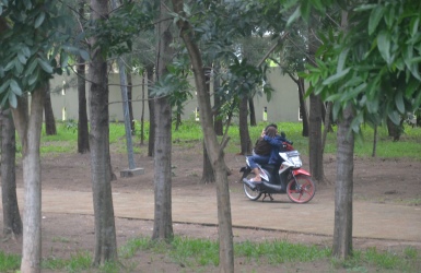 Sepasang remaja kepergok saat sedang asyol bercumbu di Hutan Kota yang berada tepat di depan rumah dinas Bupati Bekasi, Komplek Perkantoran Pemkab Bekasi.