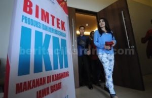 Rieke Diah Pitaloka saat menghadiri Bimtek Produksi dan Kewirausahaan bagi para pelaku IKM asal Kabupaten Bekasi dan Karawang di Hotel Grand Cikarang, Sabtu (04/11) kemarin
