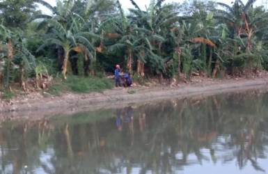 Petugas Pemadam Kebakaran (Damkar) Kabupaten Bekasi saat menanti kemunculan buaya di Kali CBL, Senin (14/01) sore.