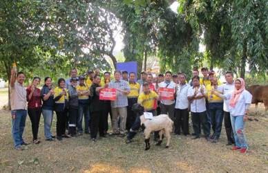 Penyerahan hewan kurban 1438 H diserahkan langsung oleh Natal Syahludin HR Operation Manager selaku perwakilan Coca-Cola Amatil Indonesia menyerahkan 3 ekor sapi dan 20 ekor kambing kepada warga sekitar pabrik CCAI di Cikarang Barat