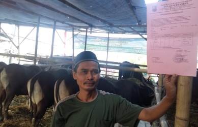 Salah seorang pedagang hewan kurban, Hamid saat menunjukan surat keterangan yang dikeluarkan Pemerintah Kabupaten Bekasi mengenai hasil pemeriksaan kesehatan hewan kurban yang dijualnya, Minggu (19/08) kemarin.