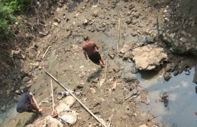 ikan lundu mabok di kali cbl