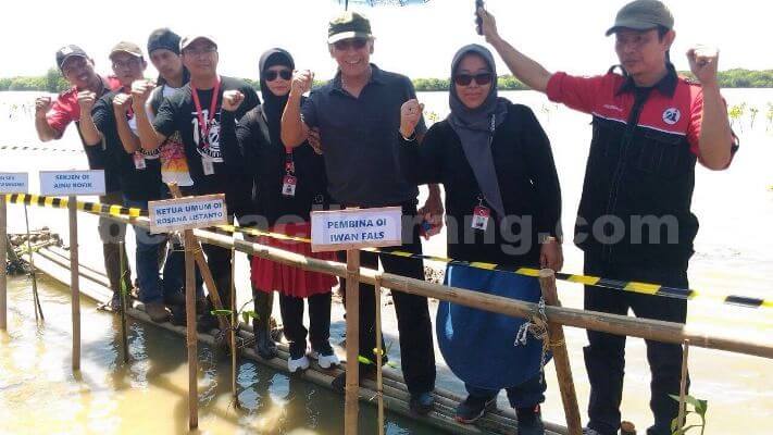 Iwan Fals Tanam 1700 Mangrove Di Muaragembong Berita Cikarang