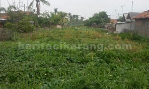 Kondisi Kali Cikarang yang dipenuhi sampah dan tumbuhan liar seperti eceng gondok di Desa Sukamulya, Kecamatan Sukatani, Selasa (19/07).