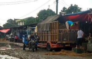 pasar induk cibitung dua