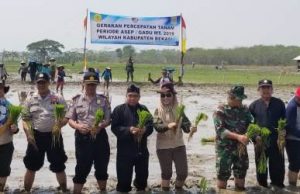 Launching Gerakan Percepatan Tanam Periode Gadu (Tanam di Musim Kemarau) di Kecamatan Cabangbungin, Sabtu (14/09) pagi.