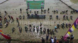 Aksi tanam perdana anggota Korem 051/WKT dan Kodim 0509/Kabupaten Bekasi di Lahan Pertanian Kodam Jayakarta di Desa Wanajaya, Kecamatan Cibitung beberapa waktu lalu.