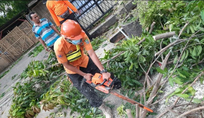 Proses evakuasi pohon tumbang di depan Mapolsek Sukatani, Senin (07/12).