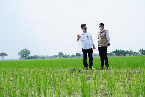 Penjabat (Pj) Bupati Bekasi, Dani Ramdan usai mendampingi Menteri Pertanian (Mentan) Syahrul Yasin Limpo mengecek areal pesawahan di wilayah Kecamatan Sukatani, Sabtu (24/07).