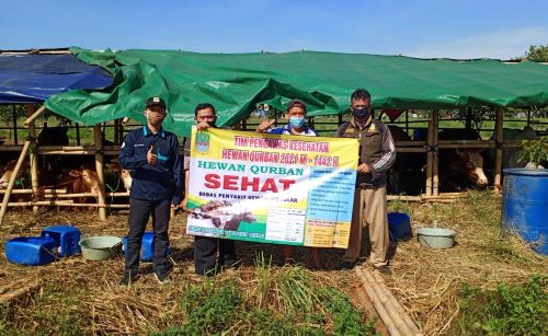 Hewan kurban dari luar daerah yang akan masuk ke Kabupaten Bekasi harus menyertakan Surat Keterangan Kesehatan Hewan (SKKH)