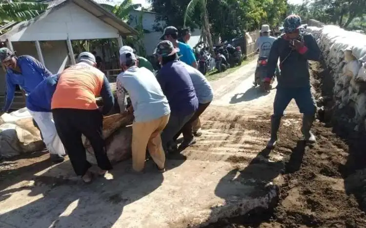 Aparatur Kecamatan Muaragembong bersama unsur muspika lainnya dan warga secara swadaya telah menutup sementara dinding tanggul yang jebol menggunakan karung berisi material tanah.