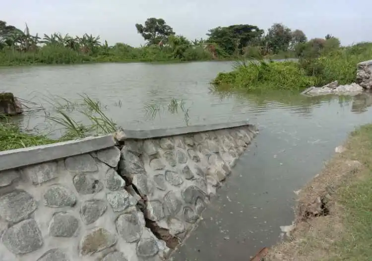 Setahun dibangun, tanggul sungai Citarum di Kp. Solokan Kendal, RT 004 RW 001 Desa Pantai Bahagia Kecamatan Muaragembong jebol.