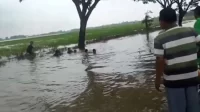 Warga melakukan proses pencarian korban tenggelam akibat terseret derasnya aliran Sungai Sibon atau Kali Kepuh di Desa Karangbahagia, Kecamatan Karangbahagia, Sabtu (25/02) pagi.