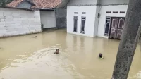 Banjir masih menggenangi beberapa titik di Kabupaten Bekasi pada Sabtu (04/03) kendati di sejumlah wilayah telah mulai surut.