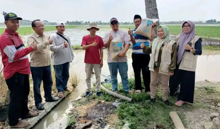 Ketua Kelompok Tani (Poktan) Berkah Tani, Desa Sukakarsa, Kecamatan Sukarya, Sumardi (kaos biru) menerima bantuan benih dari Direktorat Perbenihan, Kementerian Pertanian RI.
