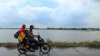 Pemerintah Kabupaten Bekasi mencatat terdapat 8.071 hektar atau sekitar 16,12 persen dari total lahan sawah di Kabupaten Bekasi terendam banjir akibat bencana hidrometeorologi yang terjadi sejak Jum'at (24/02) lalu.