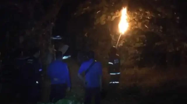 Petugas Pemadam Kebakaran Kabupaten Bekasi memusnahkan sarang tawon vespa berdiameter 1 meter dengan cara dibakar, Jum'at (26/05) malam.