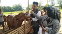 Tim pengawas kesehatan hewan kurban saat memeriksa kesehatan hewan kurban di salah satu lapak pedagang di wilayah Kabupaten Bekasi.
