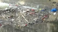 Ribuan Ikan di Kali Sadang Mati Diduga Keracunan Limbah