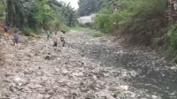Mengering: Kondisi saluran irigasi yang digunakan para petani di Kecamatan Sukawangi, Kabupaten Bekasi.