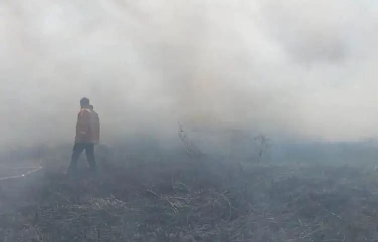 Petugas Pemadam Kebakaran Kabupaten Bekasi memadamkan lahan ilalang yang terbakar di lahan seluas 500 M2 di Desa Pantai Makmur, Kecamatan Tarumajaya, Senin (31/07).