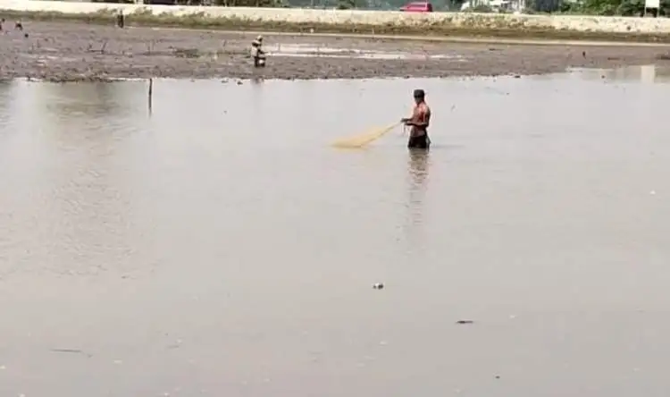 Sejumlah warga memanen ikan dengan jala di Situ Burangkeng, Kecamatan Setu.