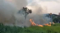 Kebakaran lahan atau pekarangan mendominasi kasus kebakaran di Kabupaten Bekasi sepanjang Agustus 2023 dampak musim kemarau tahun ini. Mayoritas kebakaran disebabkan pembakaran sampah.