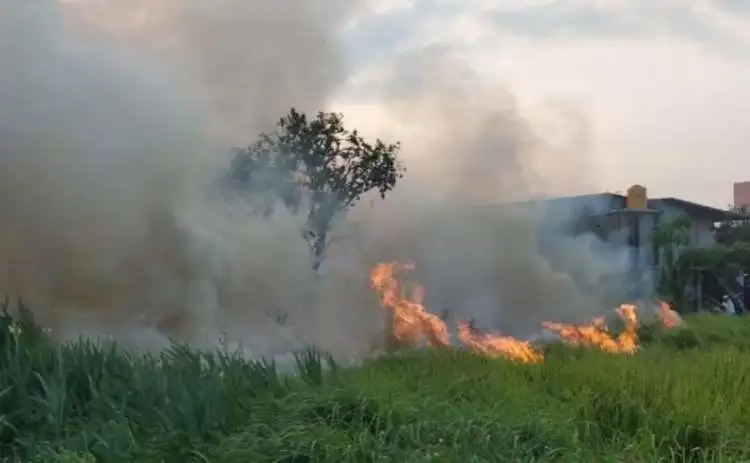 Kebakaran lahan atau pekarangan mendominasi kasus kebakaran di Kabupaten Bekasi sepanjang Agustus 2023 dampak musim kemarau tahun ini. Mayoritas kebakaran disebabkan pembakaran sampah.