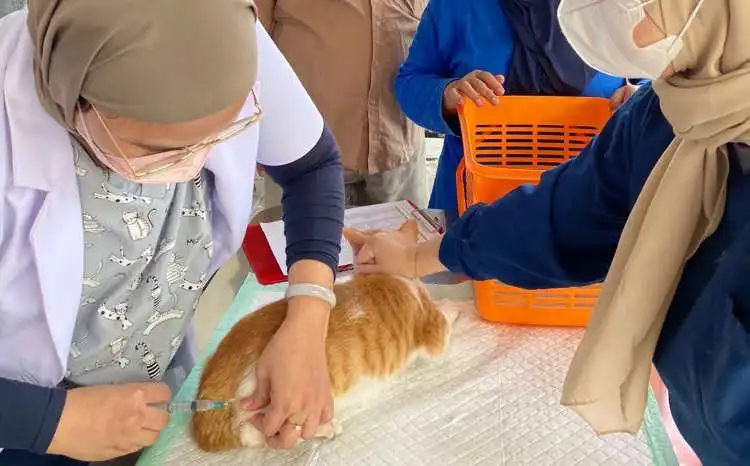 World Rabies Day 2023 diselenggarakan serentak se Indonesia, Sabtu (07/10). sedikitnya 1100 hewan peliharaan jenis anjing dan kucing di Kabupaten Bekasi mendapatkan vaksinasi rabies gratis.