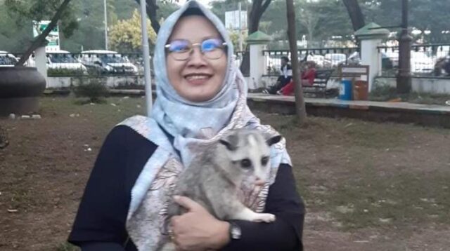 Anggota Pinus Kabupaten Bekasi saat mengikuti gathering Pecinta Musang di area Taman Sehati, Komplek Stadion Wibawamukti, Kelurahan Sertajaya, Cikarang Timur, Minggu (26/11).