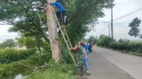 Anggota Koramil 11 Pebayuran Serma Yon Hendra mengimbau warga di Pebayuran, Kabupaten Bekasi untuk selalu waspada pohon tumbang saat hujan disertai angin kencang.