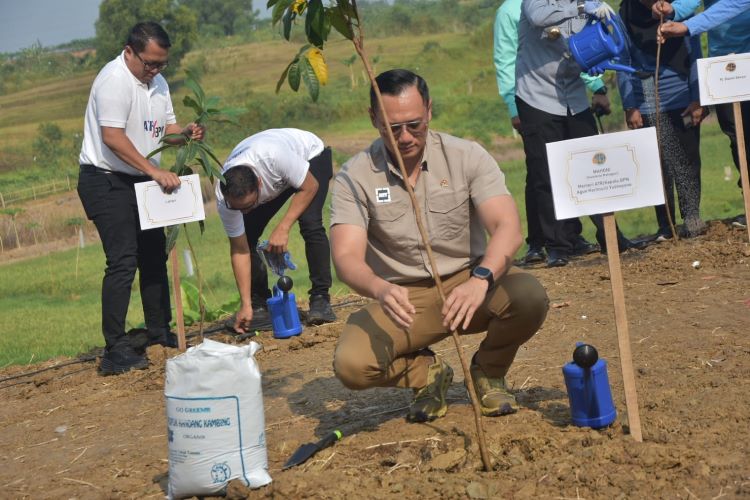 Menteri Agraria dan Tata Ruang/Kepala Badan Pertanahan Nasional (ATR/BPN) Agus Harimurti Yudhoyono (AHY) memimpin penanaman serentak 100.000 pohon mahoni se-Indonesia dalam rangka memperingati World Environtmen Day atau Hari Lingkungan Hidup Sedunia di Kawasan Industri Kota Delta Mas, Desa Sukamahi, Kecamatan Cikarang Pusat, Rabu (05/06).