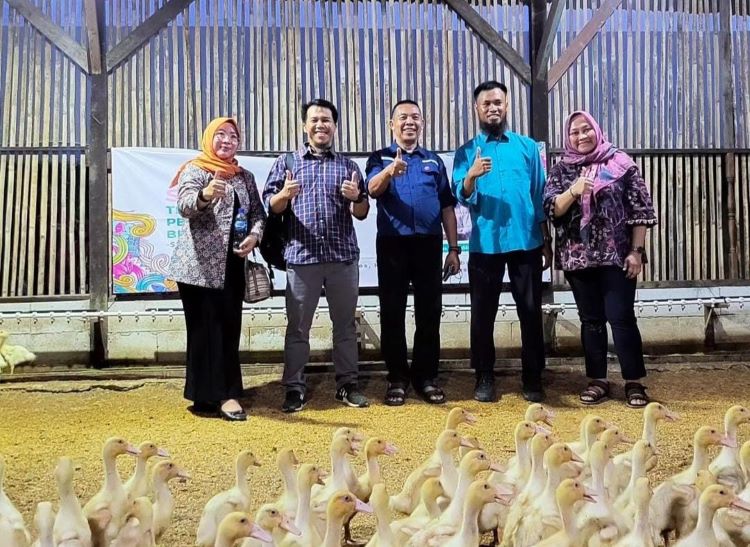 Seorang pemuda di Desa Sukaindah, Kecamatan Sukakarya, Kabupaten Bekasi bernama Deden Hardiansyah (29) berhasil meraih kesuksesan dari usaha ternak bebek hibrida pedaging dengan omzet puluhan juta per bulan.