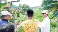 Tanaman eceng gondok di aliran Kaliwaru di Desa Sumberjaya, Kecamatan Tambun Selatan, Kabupaten Bekasi tumbuh subur dan membuat resah warga