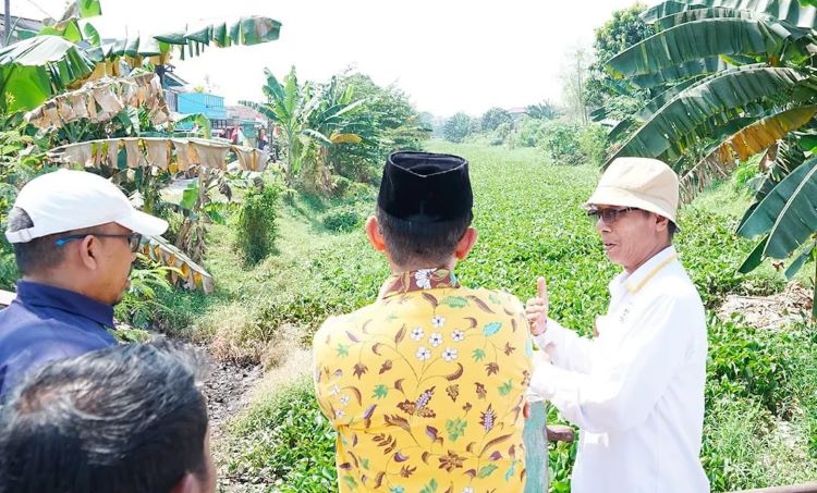 Tanaman eceng gondok di aliran Kaliwaru di Desa Sumberjaya, Kecamatan Tambun Selatan, Kabupaten Bekasi tumbuh subur dan membuat resah warga