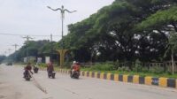 Dibangun taman, median Jalan Inspeksi Kalimalang dihiasi dengan beragam jenis tanaman.