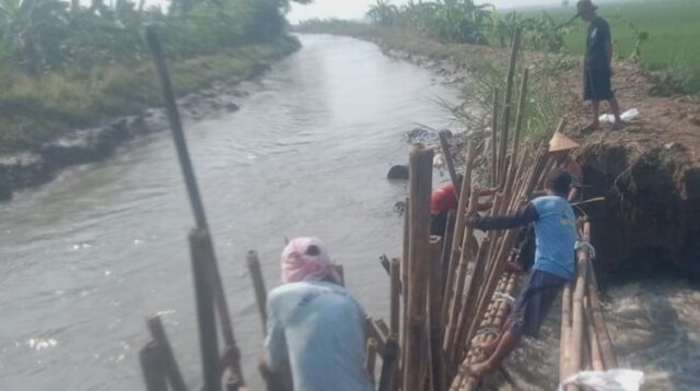 Warga Desa Sumber Reja, Kecamatan Pebayuran saat bergotong-royong membuat turap bendungan sementara menggunakan material bambu dan karung pasir untuk meminimalisir derasnya aliran air di tanggul irigasi Kali Sekunder BKG 28 yang jebol.