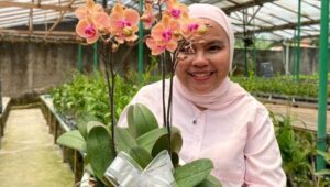 Arini Rachma Puspa Dewi membuka toko bunga anggrek Puspa Dewi Flower di Tambun Selatan, Kabupaten Bekasi. Dalam hal pengiriman, toko tanaman hias ini selalu mempercayakan kepada JNE sejak 2019.