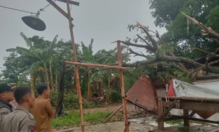 Rumah ambruk tertimpa pohon. Badan Penanggulangan Bencana Daerah (BPBD) Kabupaten Bekasi mengimbau warga untuk waspada bencana alam yang diakibatkan cuaca ekstrem seperti hujan dan angin kencang.